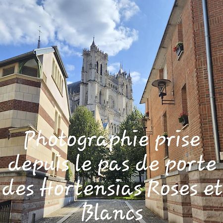Les Hortensias Blancs Studio Amiens Exteriör bild